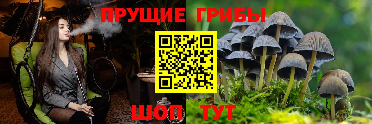 Галлюциногенные грибы Psilocybe  Вход с VPN  Нижневартовск 
